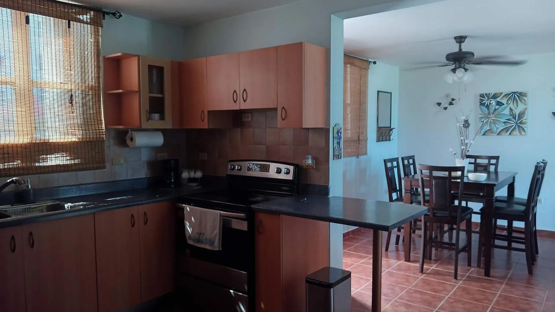 Apartament Tropical Caribbean Penthouse Fajardo 0*,